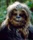 Wookie