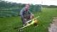 Raimund H aus K