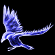 Raven784