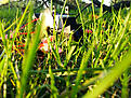 Klicke auf die Grafik für eine vergrößerte Ansicht

Name: IMG_20161012_174918.jpg
Ansichten: 124
Größe: 1,31 MB
ID: 5332877